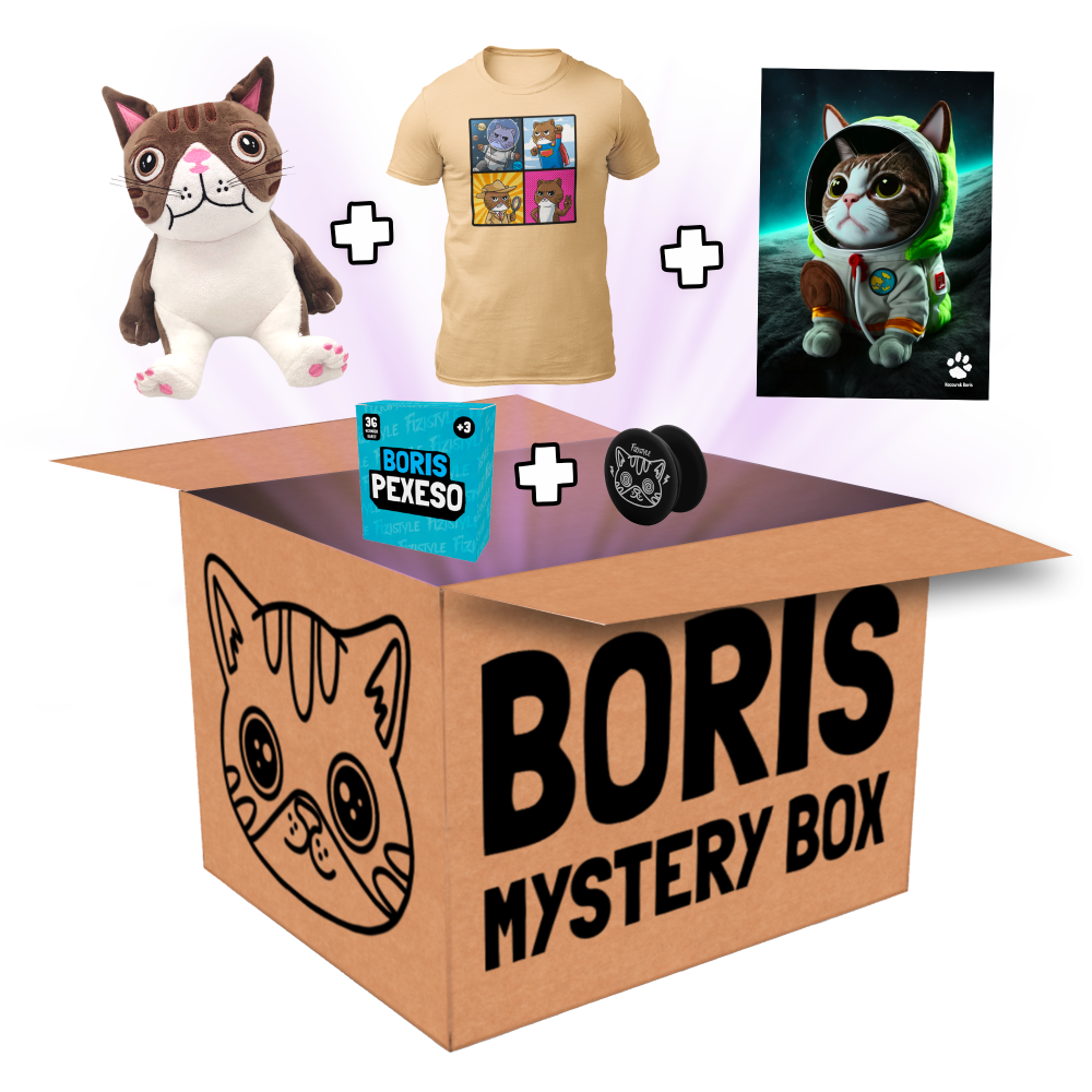 BORIS - Mystery Box