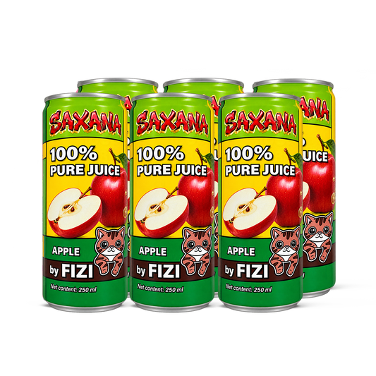 FIZI DRINK - Juice Jablko 250ml CZE