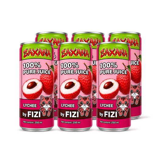 FIZI DRINK - Juice Liči 250ml CZE