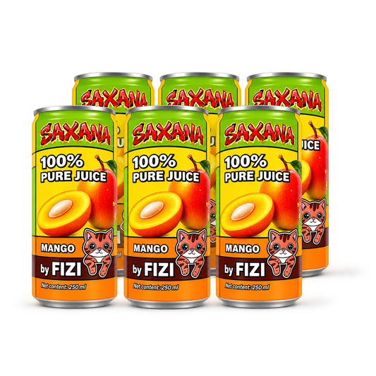 FIZI DRINK - Juice Mango 250ml CZE